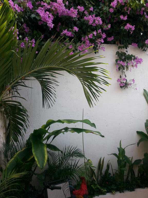 Hotel Casa La Sierpe By Hmc